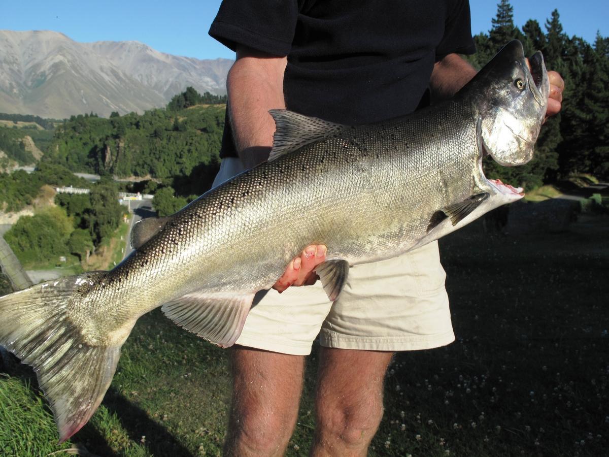 Mt Hutt Lodge Windwhistle ภายนอก รูปภาพ